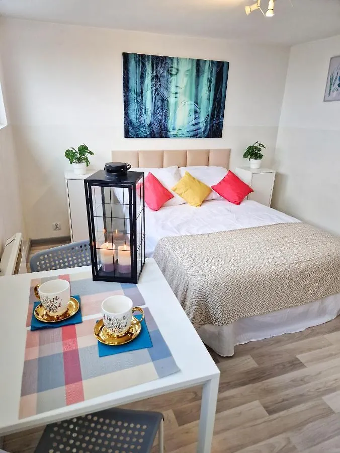 Central Studio Apartments وارسو